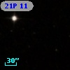 21P  11