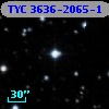 TYC 3636-2065-1