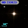 HD 233823