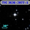 TYC 3636-2077-1