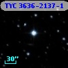TYC 3636-2137-1