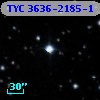 TYC 3636-2185-1