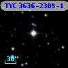 TYC 3636-2308-1