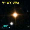 V* WY UMa