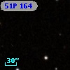 51P 164