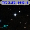 TYC 3160-1440-1