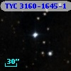 TYC 3160-1645-1