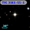 TYC 3161-55-1