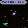 TYC 3161-164-1