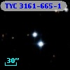 TYC 3161-665-1