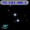 TYC 3161-800-1