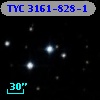 TYC 3161-828-1