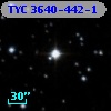 TYC 3640-442-1