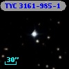 TYC 3161-985-1