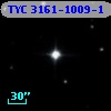 TYC 3161-1009-1