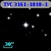 TYC 3161-1010-1