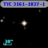 TYC 3161-1037-1