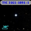 TYC 3161-1091-1