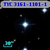 TYC 3161-1101-1
