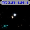TYC 3161-1105-1