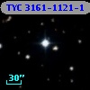 TYC 3161-1121-1