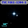 TYC 3161-1204-1