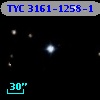 TYC 3161-1258-1