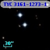 TYC 3161-1273-1