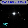 TYC 3161-1323-1