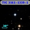 TYC 3161-1339-1