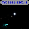 TYC 3161-1362-1