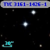 TYC 3161-1426-1