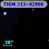 TVLM 213-42980