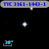 TYC 3161-1443-1