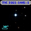 TYC 3161-1445-1