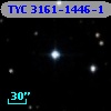 TYC 3161-1446-1