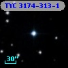 TYC 3174-313-1