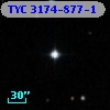TYC 3174-877-1