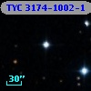 TYC 3174-1002-1