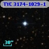 TYC 3174-1029-1