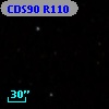 CDS90 R110