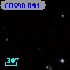 CDS90 R91