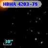 HBHA 4203-78