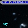NAME GRASSHOPPER B