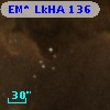 EM* LkHA  136