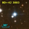 BD+42  3883