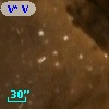 V* V1532 Cyg