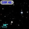 37P 41