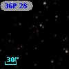 36P 28