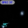 SP82 37